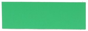 Kelly Green/White 